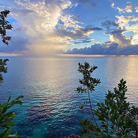 Oceanfront Condo W/ Free Parking + High Speed Wifi Негрил Екстериор снимка
