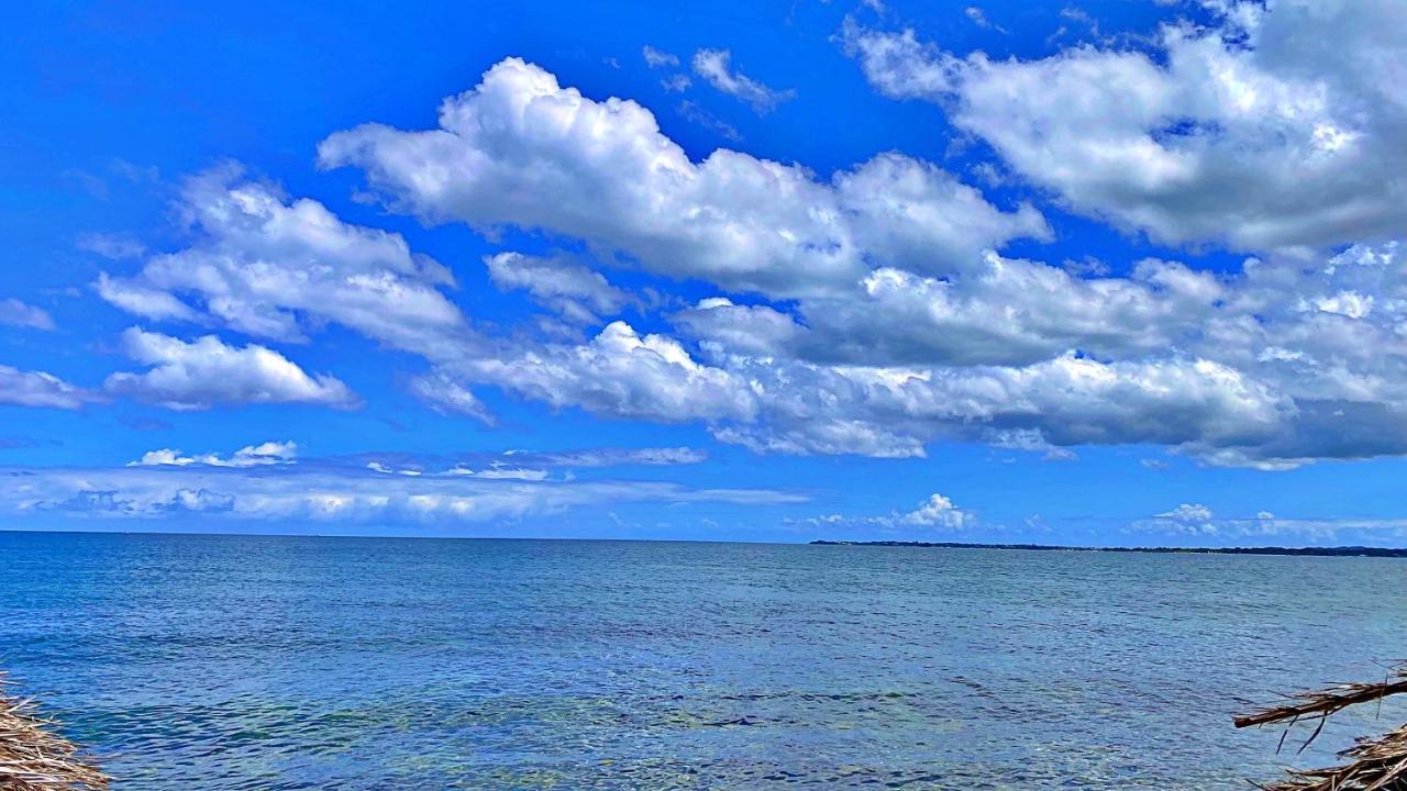 Oceanfront Condo W/ Free Parking + High Speed Wifi Негрил Екстериор снимка